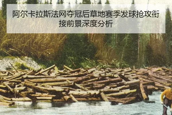 a-er-ka-la-si-fa-wang-duo-guan-hou-cao-di-sai-ji-fa-qiu-qiang-gong-xian-jie-qian-jing-shen-du-fen-xi-2-497.jpg